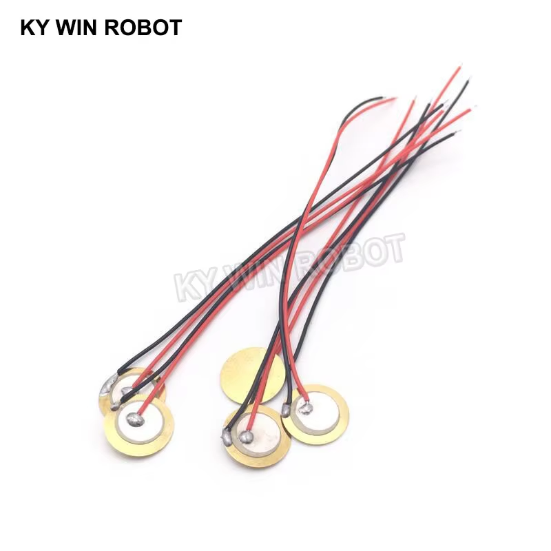 10 Pcs 압전 피에조 세라믹 웨이퍼 플레이트 직경  - Diy For Electronics 리뷰 및 가격